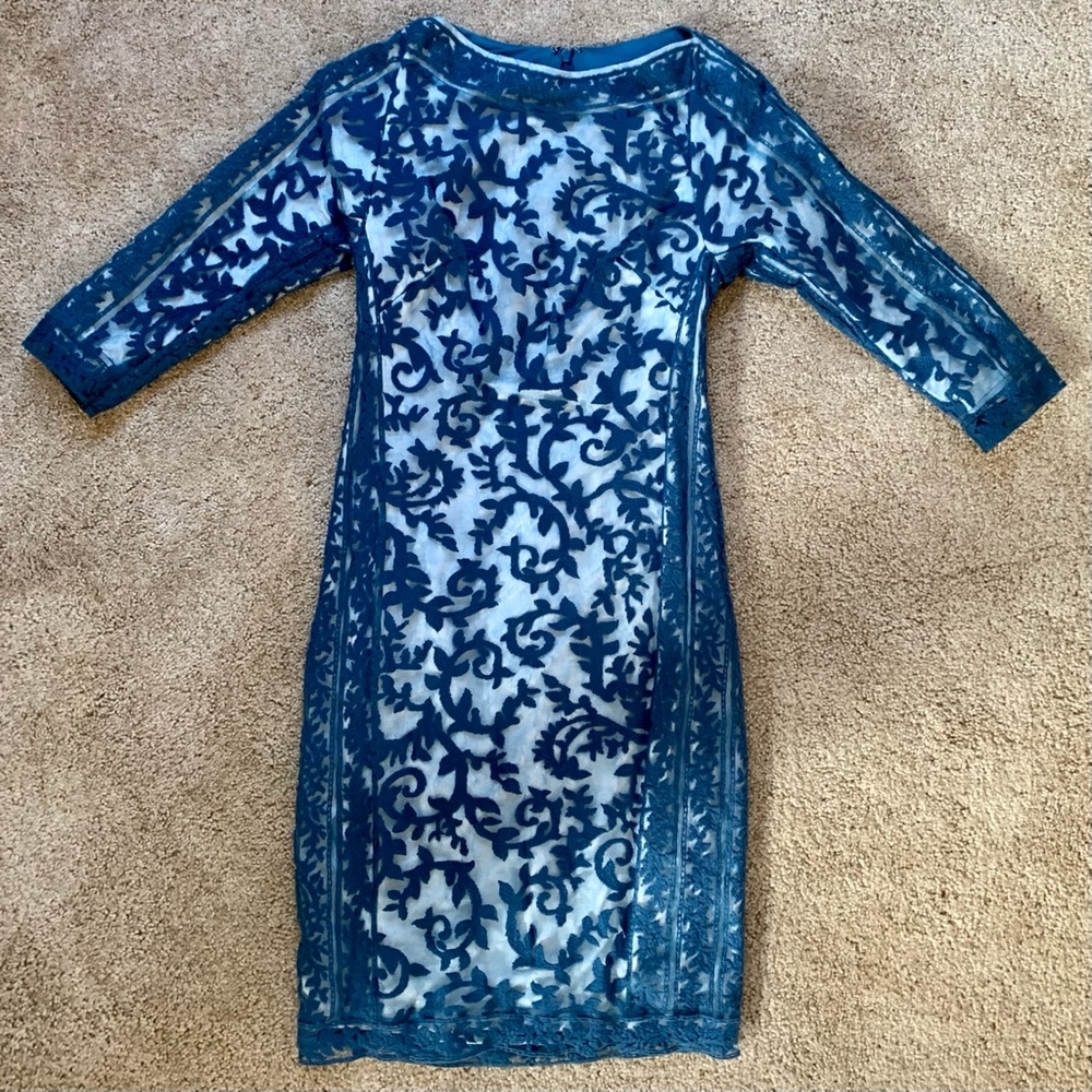 Mesh Lace Embroidered Dress